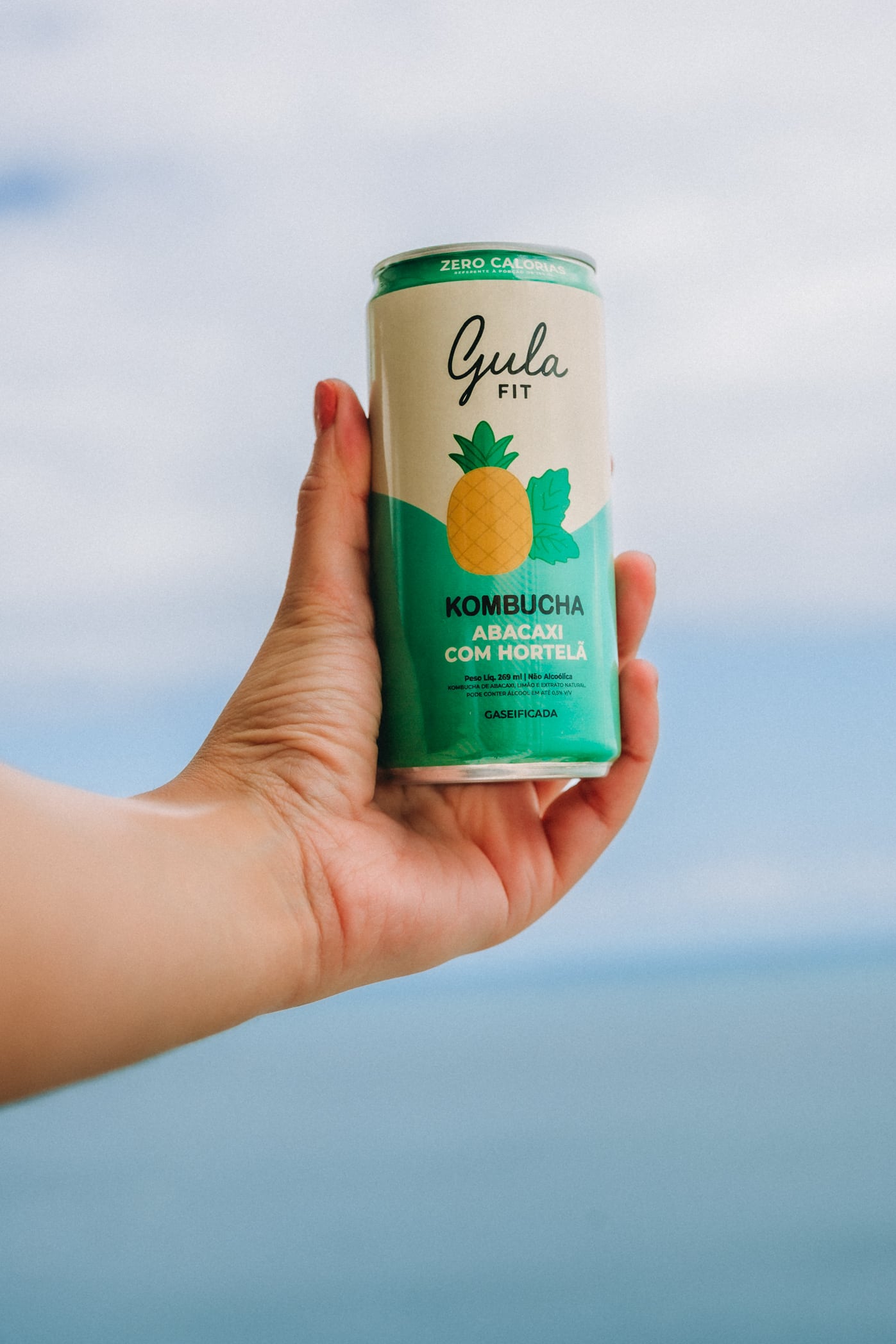 Kombucha Ananas e Menta