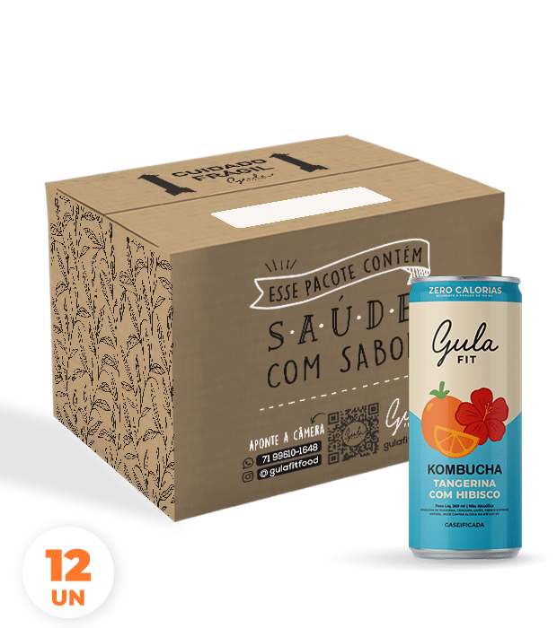 Kombucha Mandarino e Ibisco