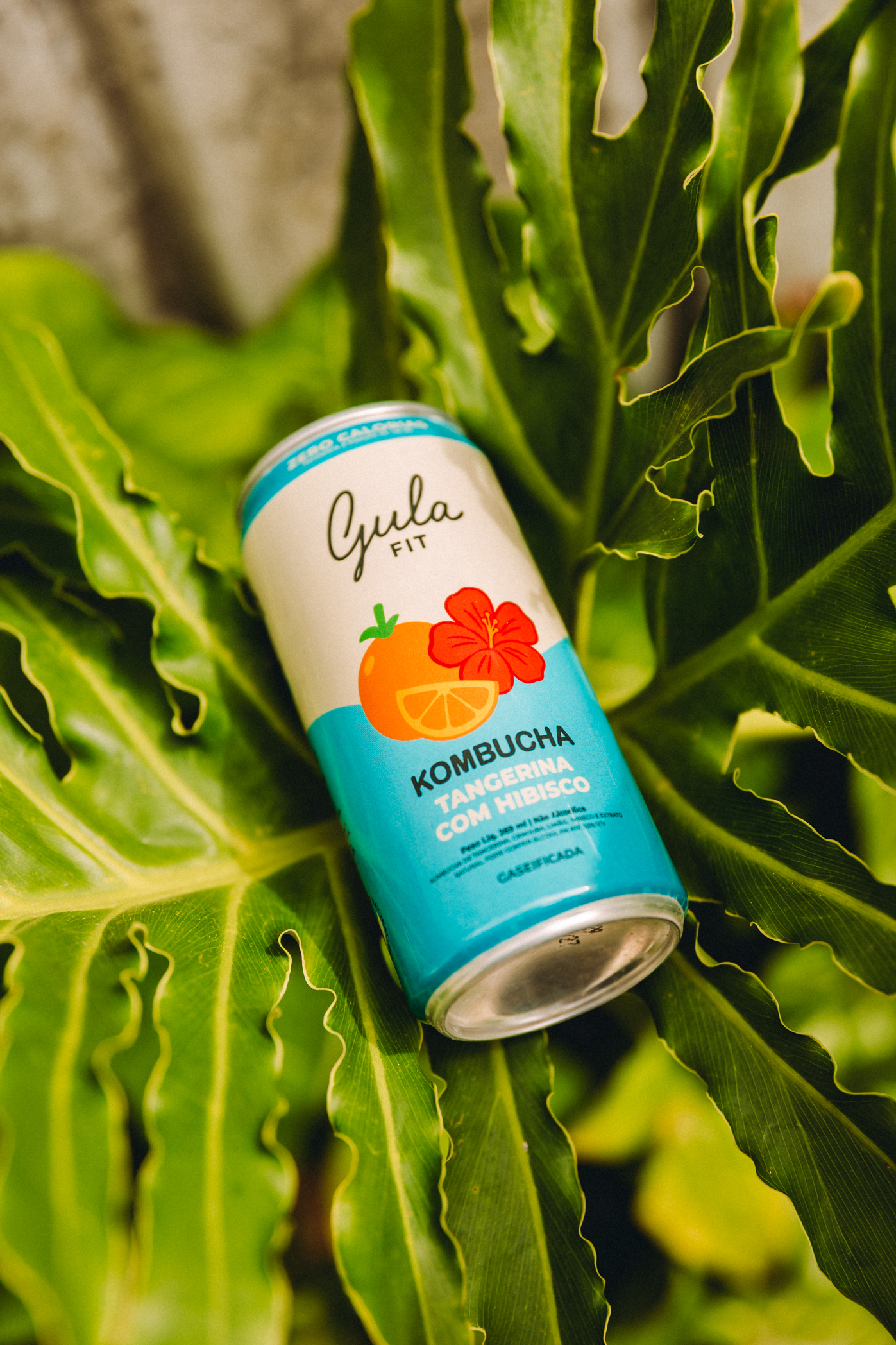 Kombucha Mandarino e Ibisco