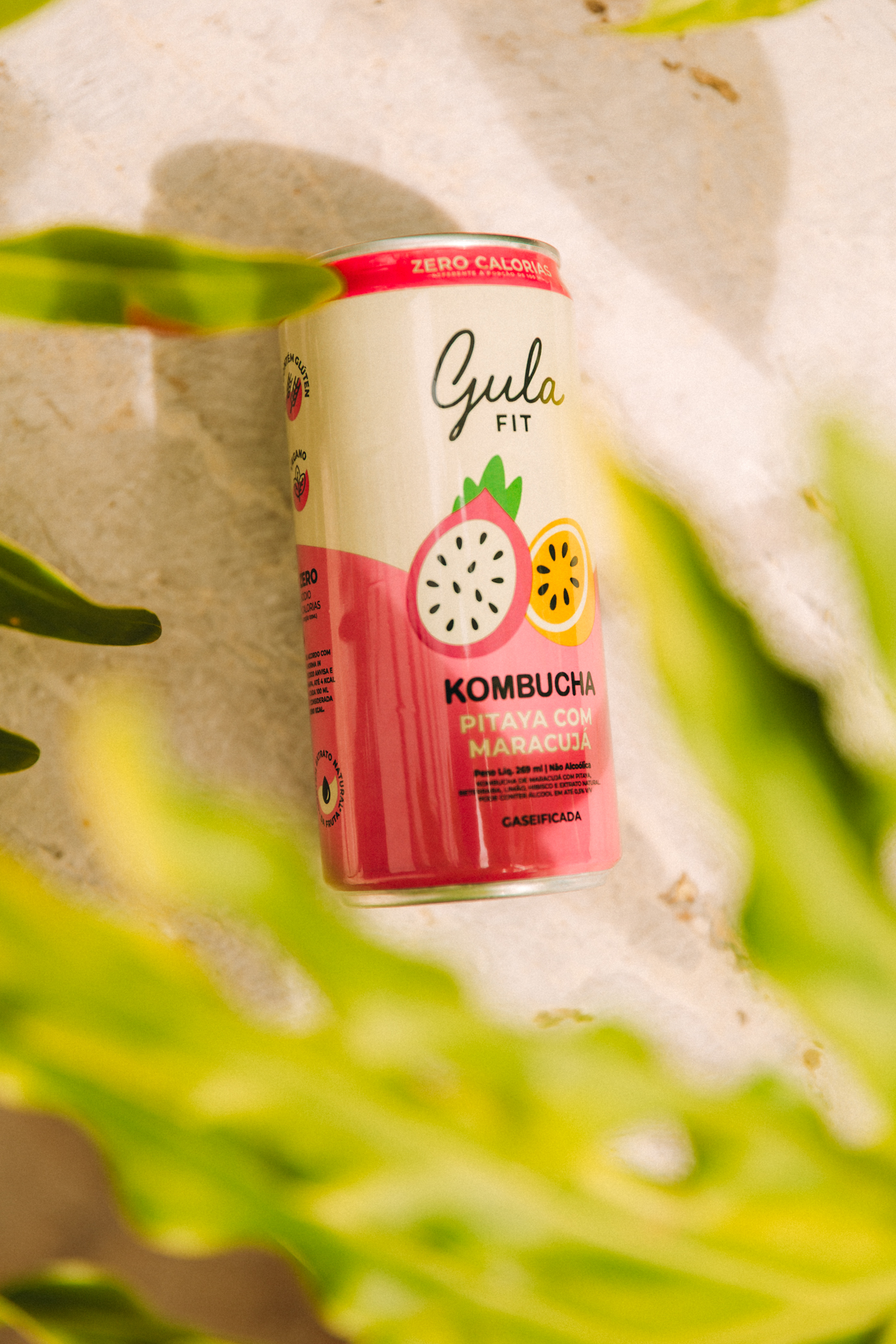 Kombucha Pitaya e Maracujà